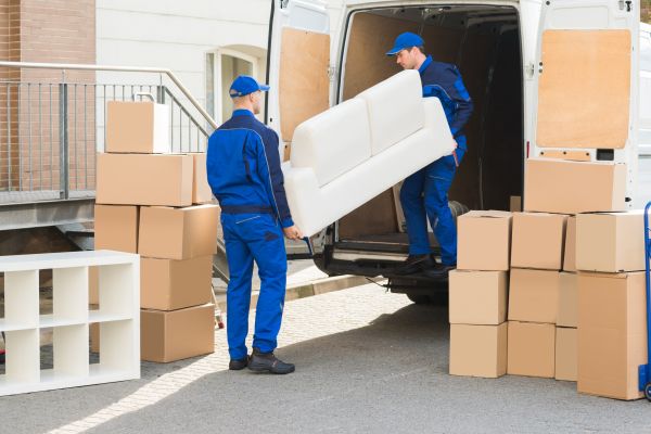 Furniture Removal Service in Punta Gorda