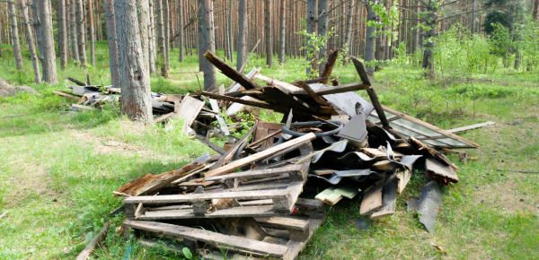 Debris Removal Service in Punta Gorda
